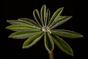 Similar image 149822