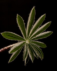 Similar image 149824