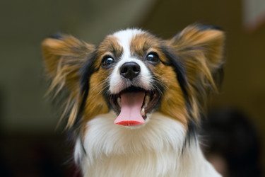 Similar image 149857