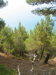 Similar image 149858