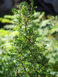 Similar image 149872