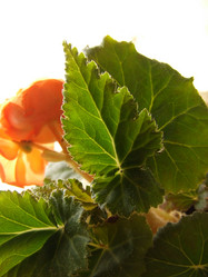 Similar image 149873