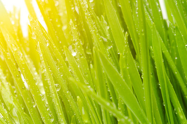 Similar image 149878