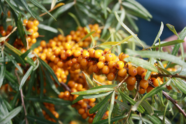 Similar image 149884