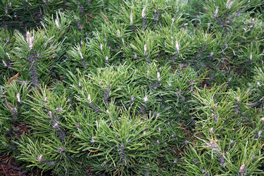 Similar image 149888