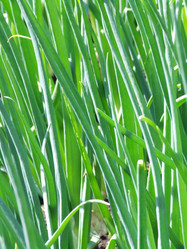 Similar image 149889