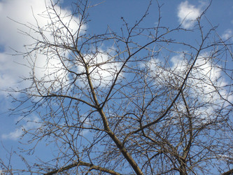 Similar image 149893