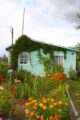 Similar image 149959