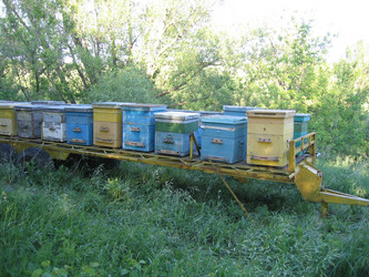 Similar image 150030