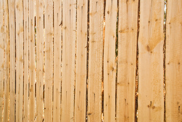 Similar image 150066