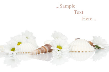 Similar image 150074