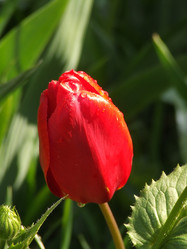 Similar image 150084