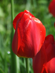 Similar image 150086