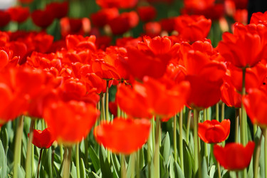 Similar image 150087