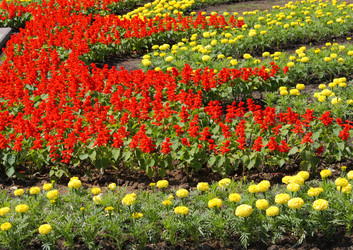 Similar image 150088