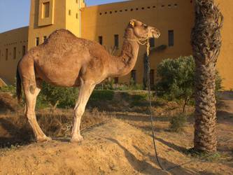 Similar image 150090