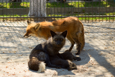 Similar image 150142