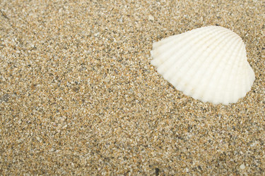 Similar image 150150