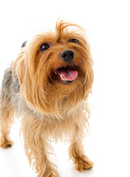 Similar image 150181