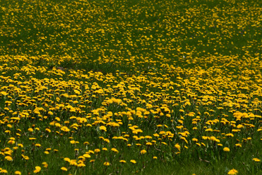 Similar image 150197