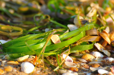 Similar image 150198