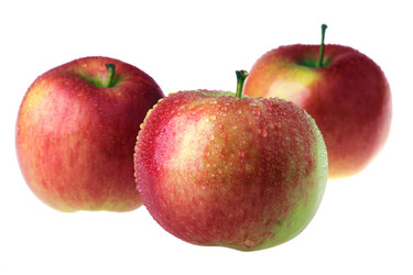 Similar image 150226