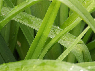 Similar image 150228