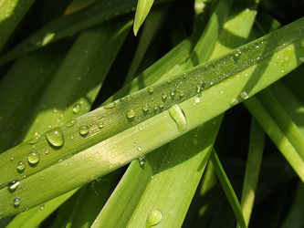 Similar image 150230