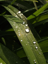 Similar image 150231