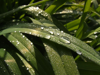 Similar image 150232