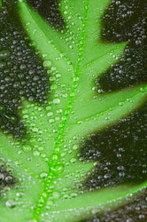 Similar image 150235