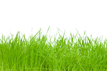 Similar image 150237