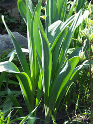 Similar image 150238