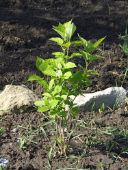 Similar image 150239