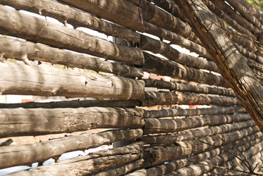 Similar image 150243