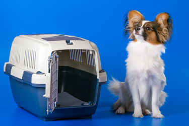 Similar image 150257