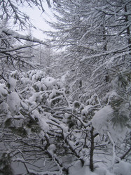 Similar image 150258