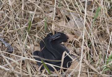 Similar image 150278