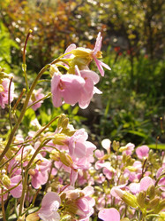 Similar image 150298