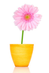 Similar image 150303