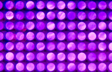 Similar image 150316