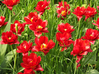 Similar image 150332