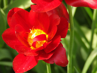 Similar image 150334