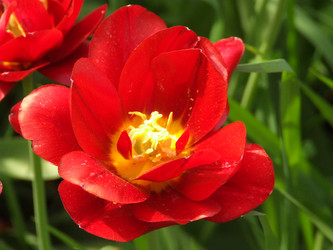 Similar image 150337