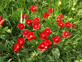 Similar image 150341