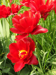 Similar image 150343