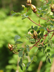 Similar image 150355