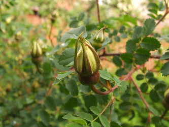 Similar image 150356