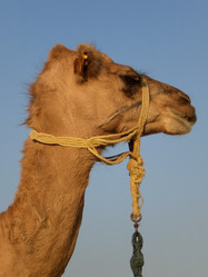 Similar image 150358