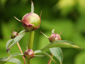 Similar image 150361